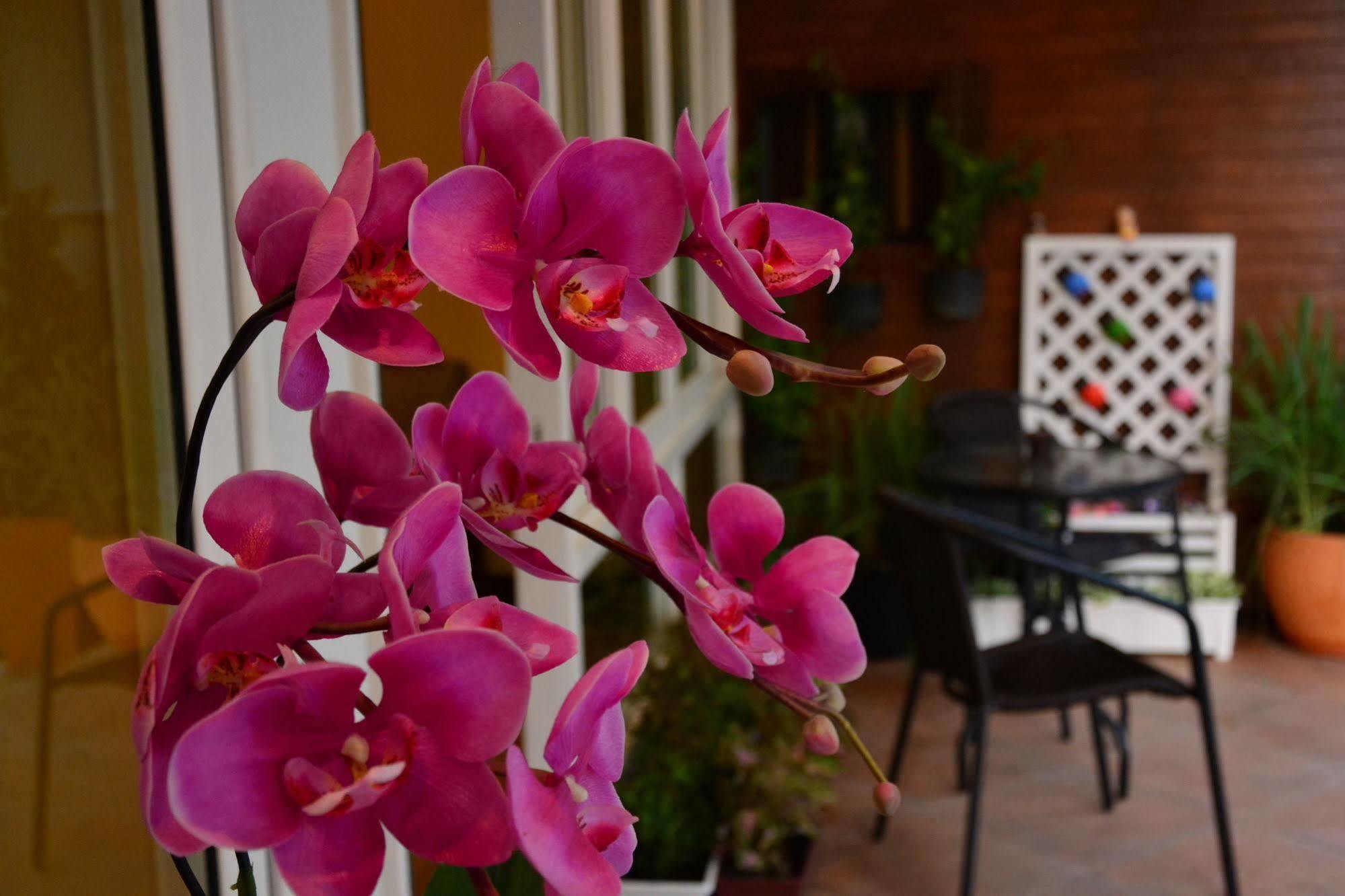 Seedling House Pattaya Exterior foto